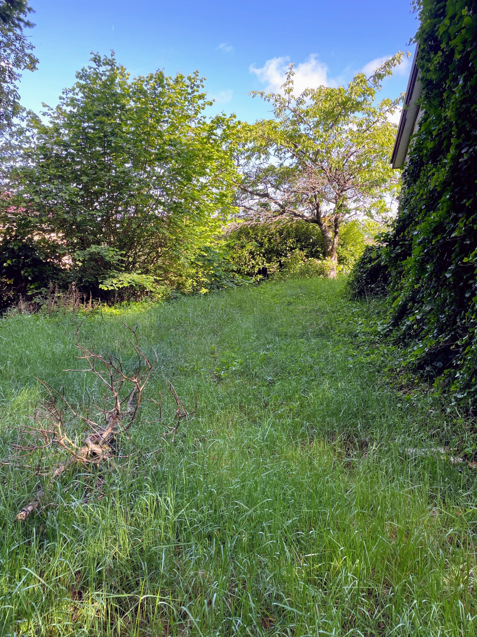 Neuer Preis!! Winkelbungalow Pirmasens-Ruhbank