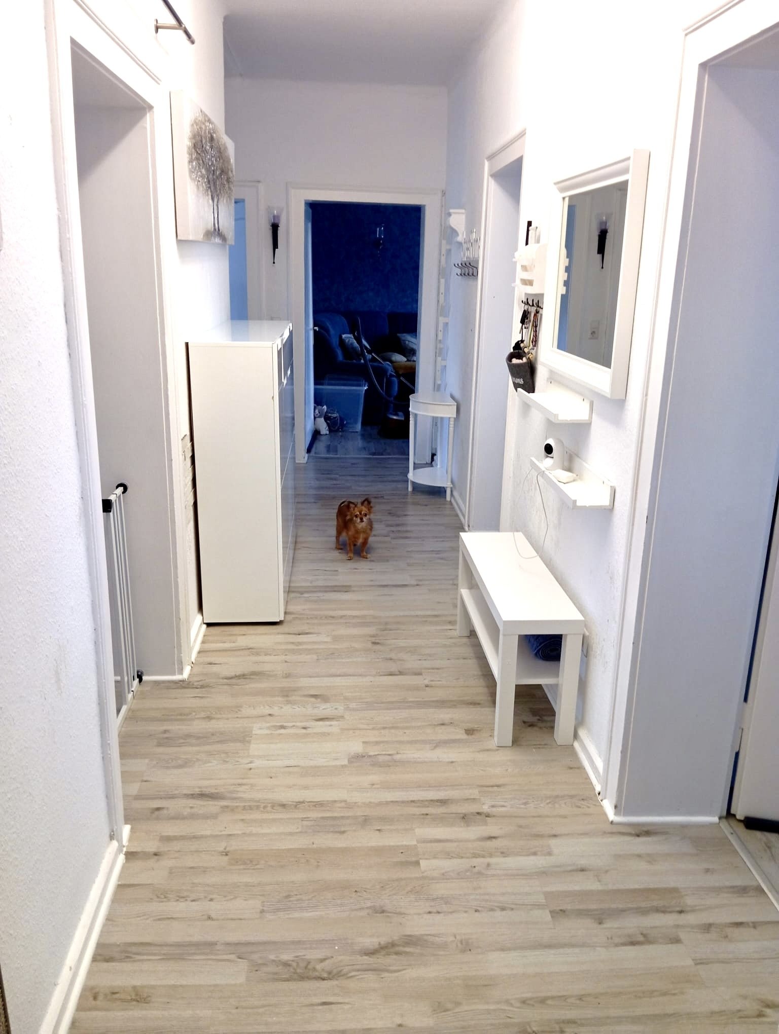 4 Zimmer, Küche und Bad Wohnung mit Garten