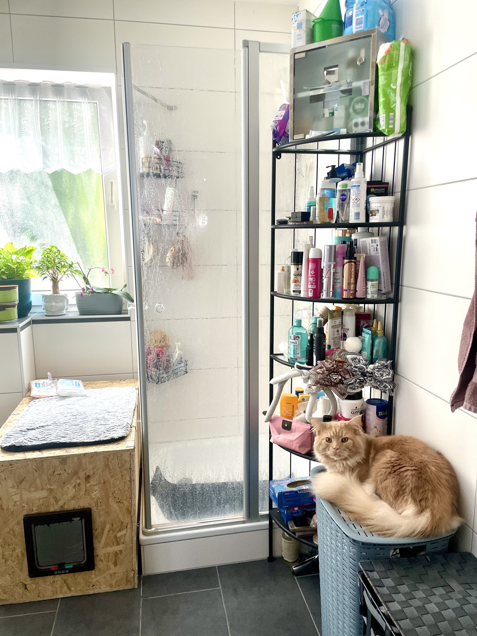 Gepflegte 3 Zimmer, Küche und Bad Wohnung mit Balkon nähe Bahnhof