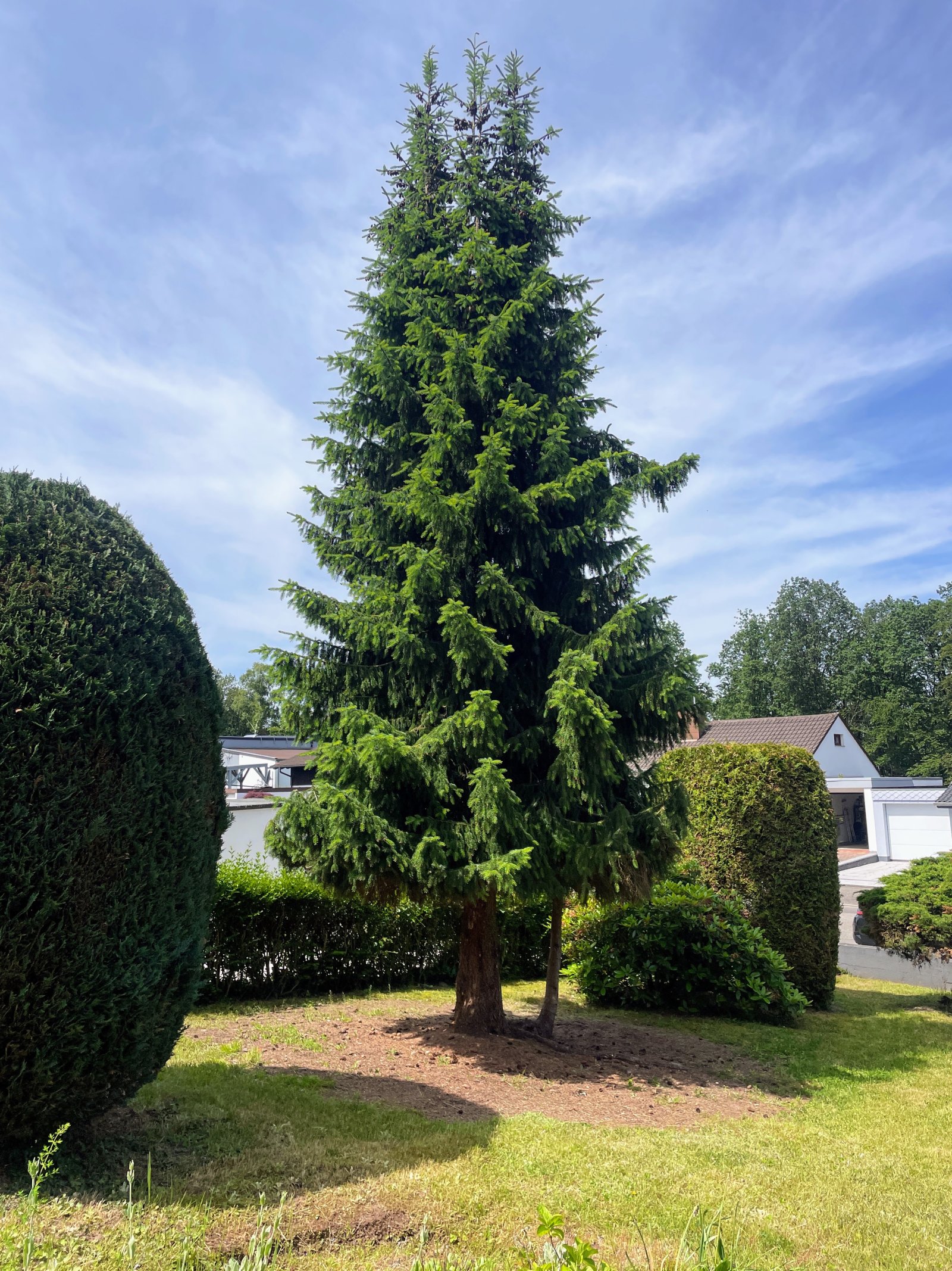 Beste Lage Pirmasens-Ruhbank gepflegtes Reihenendhaus mit Sommerstube