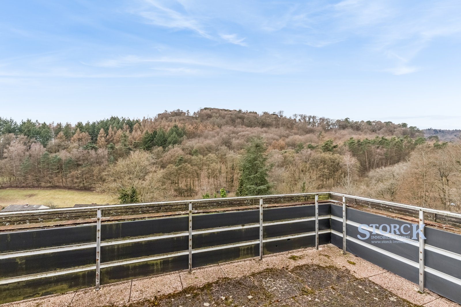 Wohnen mit Burgblick - Einfamilienhaus in ruhiger Waldrandlage mit großem Grundstück