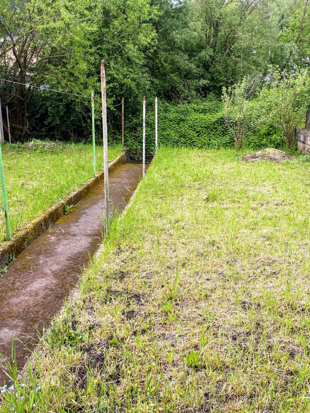 Garten Garten