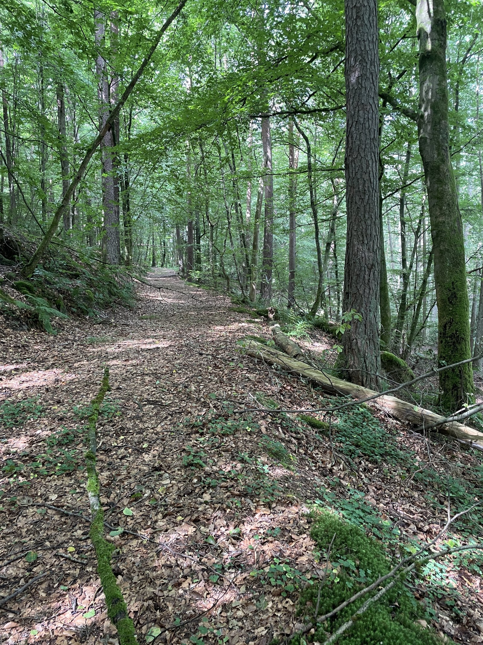 Horbach Horbach