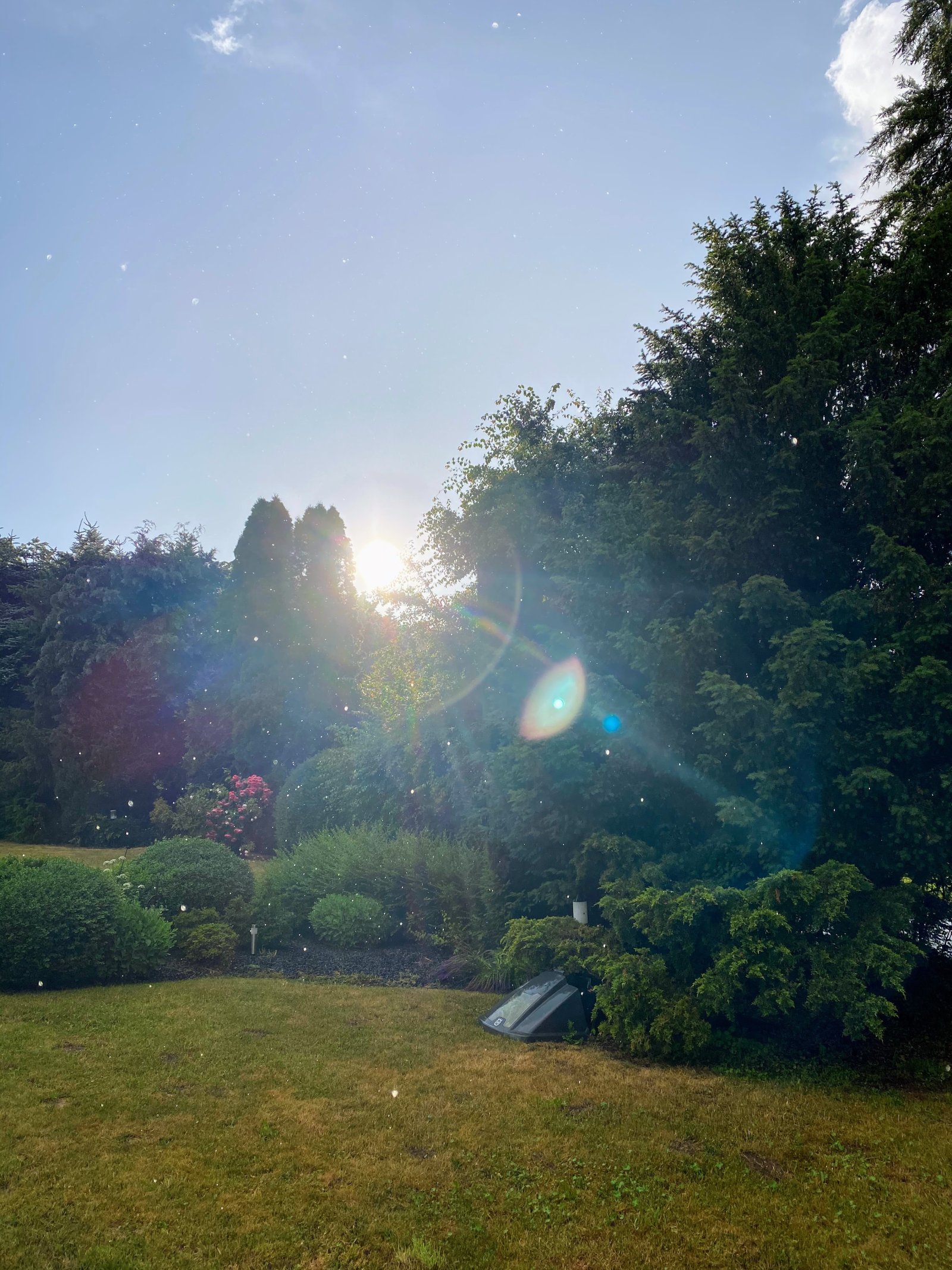 Garten Garten